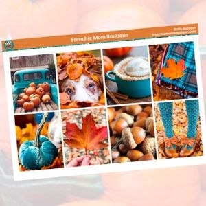 Erin Condren Planner Stickers